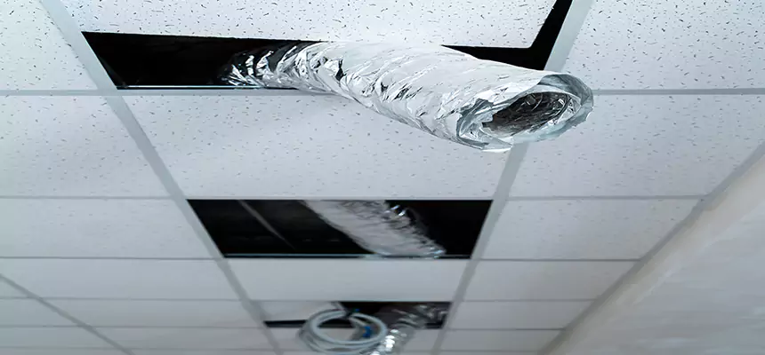 Our Air Duct Pet Hair Removal Services in Pittsburg, CA