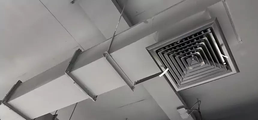 Our Rodent Droppings In Vents Services in Pittsburg, CA