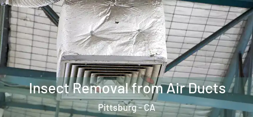  Insect Removal from Air Ducts Pittsburg - CA