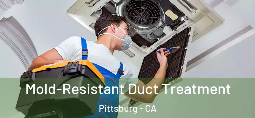  Mold-Resistant Duct Treatment Pittsburg - CA