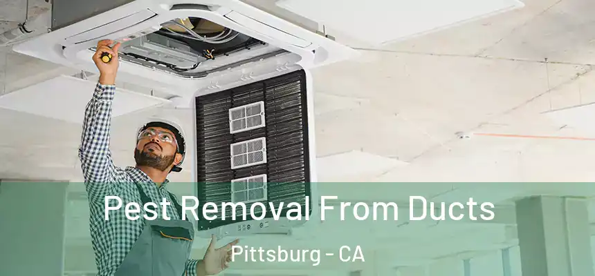  Pest Removal From Ducts Pittsburg - CA