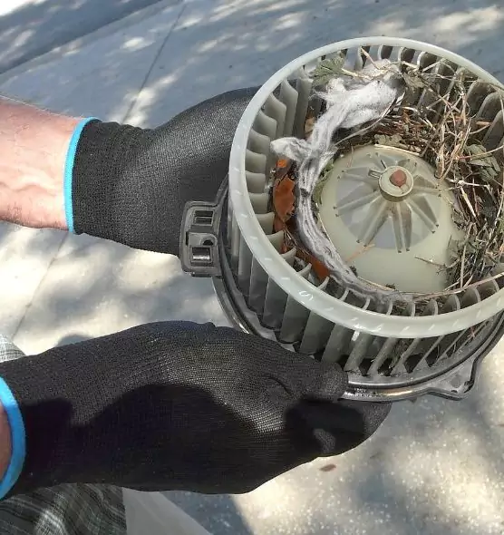 About Air Duct Mice Removal in Pittsburg, CA