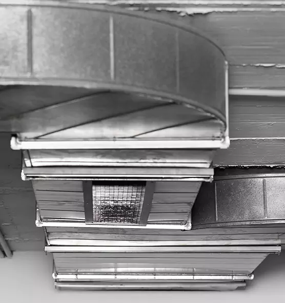 Professional Air Duct Pest Removal in Pittsburg, CA