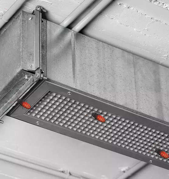 Affordable Insect Removal from Air Ducts in Pittsburg, CA