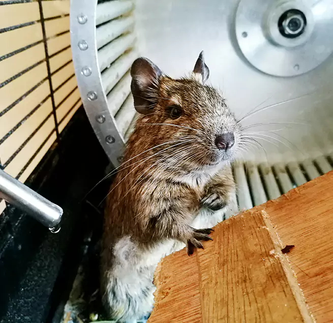 Why Homeowners & Businesses Trust Us Pittsburg, CA?