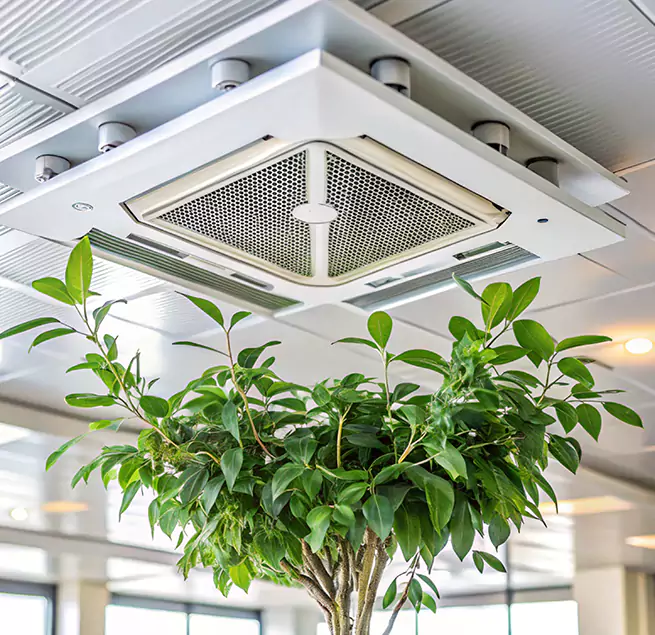 Why Homeowners & Businesses Trust Us in Pittsburg, CA