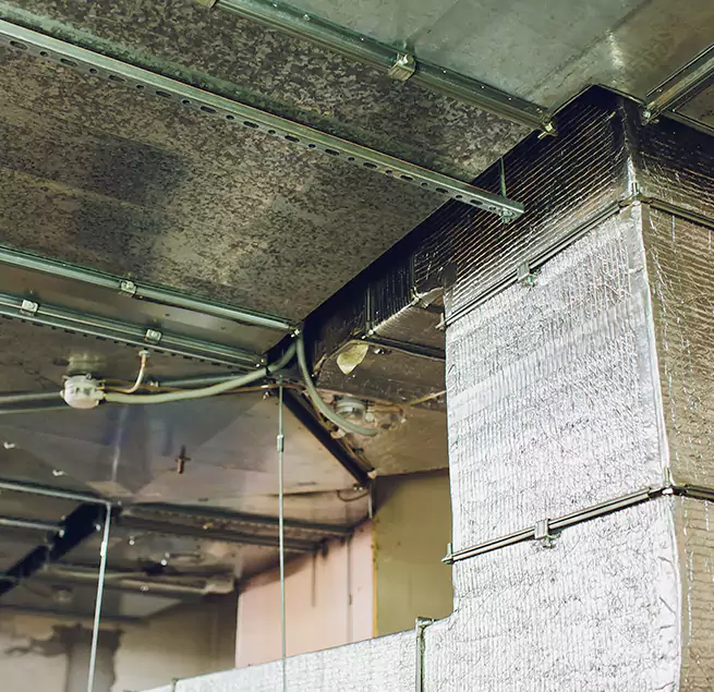 Why Homeowners & Businesses Trust Us in Pittsburg, CA?